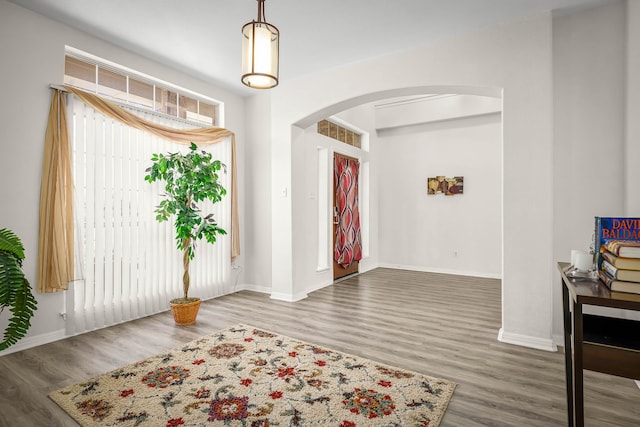 entrance foyer featuring plenty of natural light and dark hardwood / wood-style flooring