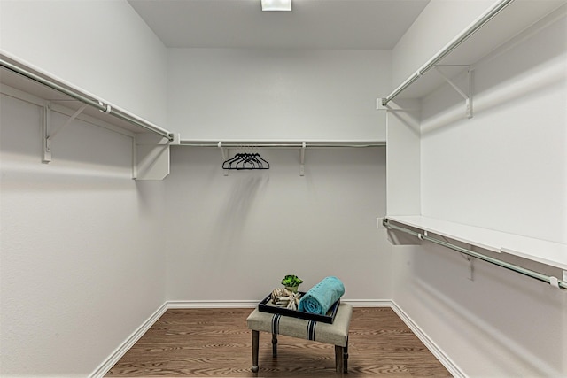 spacious closet with hardwood / wood-style floors