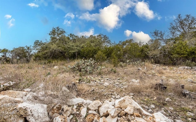 2718 Leslie Ln, San Marcos, TX 78666 - view of local wilderness