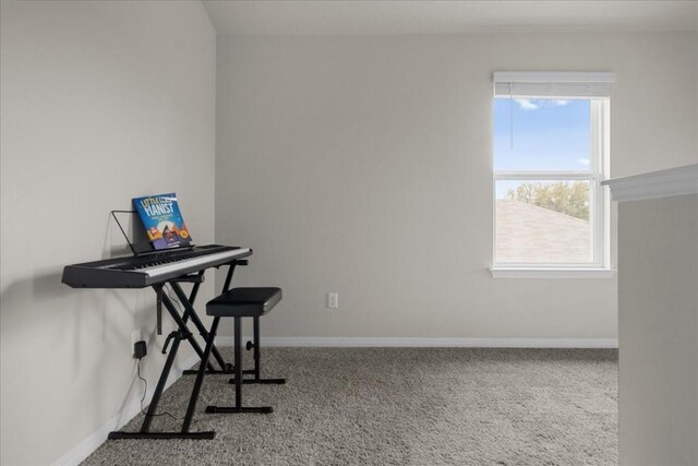 11804 Lily Branch Ln Unit 13, Austin, TX 78748 - home office with carpet