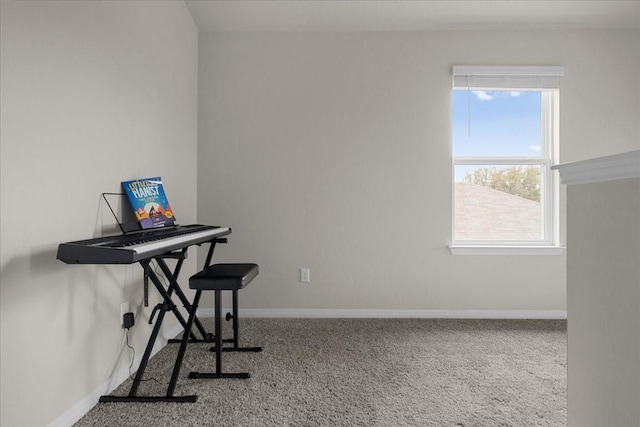 office space with carpet and a wealth of natural light