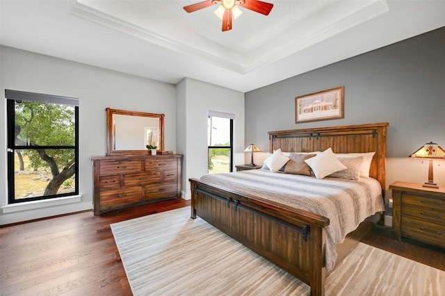 bedroom featuring ceiling fan, multiple windows, hardwood / wood-style floors, and a tray ceiling