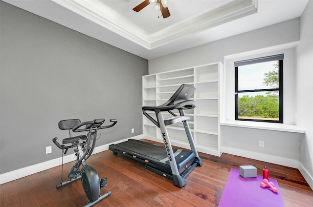 exercise room featuring ceiling fan, a raised ceiling, ornamental molding, and dark hardwood / wood-style floors