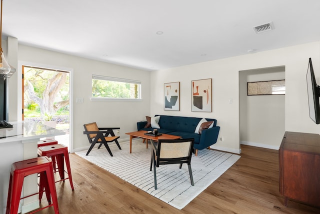 living room with hardwood / wood-style flooring