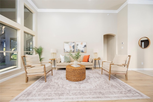 sitting room featuring hardwood / wood-style floors and crown molding