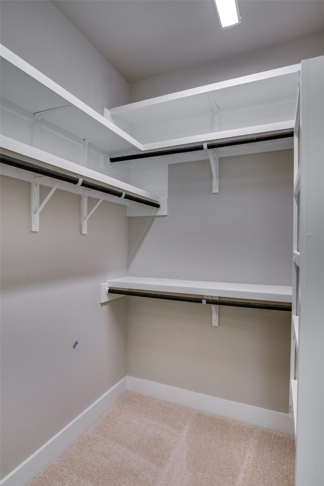 spacious closet with carpet flooring