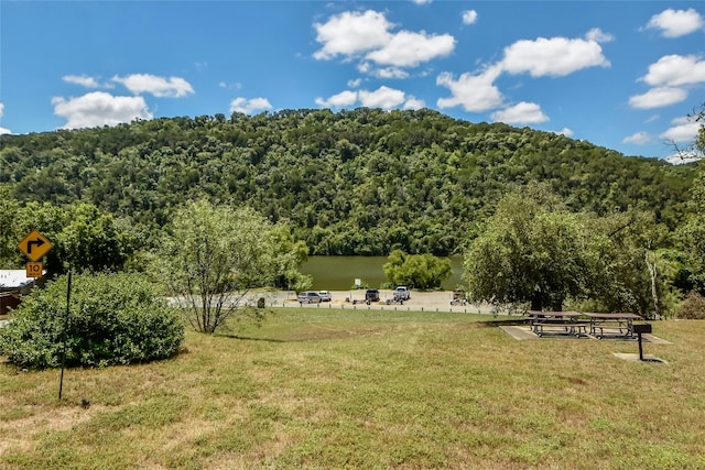 11716 Shadestone Ter, Austin, TX 78732 - view of mountain background with a heavily wooded area