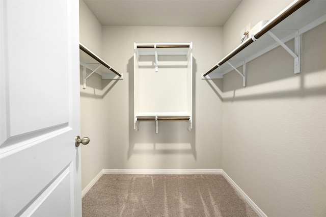 walk in closet featuring carpet