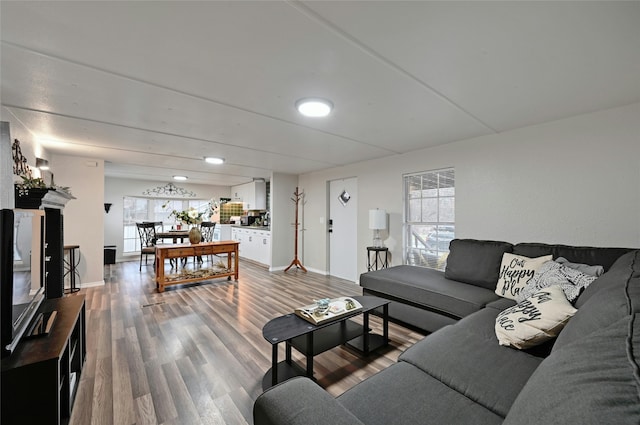 living room with hardwood / wood-style flooring and a healthy amount of sunlight