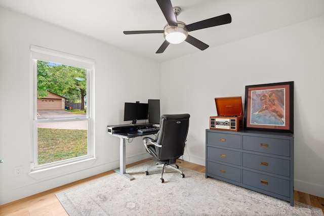 office featuring plenty of natural light, light hardwood / wood-style flooring, and ceiling fan