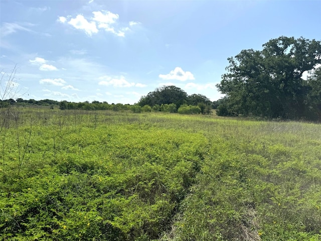 000A Fm 713, Lockhart, TX 78644 - photo 1