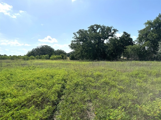 000A Fm 713, Lockhart, TX 78644 - photo 2