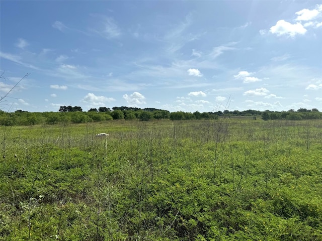 000A Fm 713, Lockhart, TX 78644 - photo 4