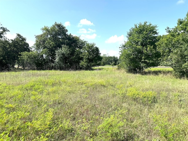 Listing photo 3 for 0000B Fm 713, Lockhart TX 78644