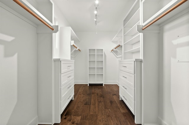 spacious closet with dark hardwood / wood-style floors