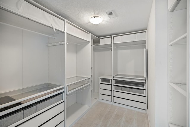 spacious closet with light carpet