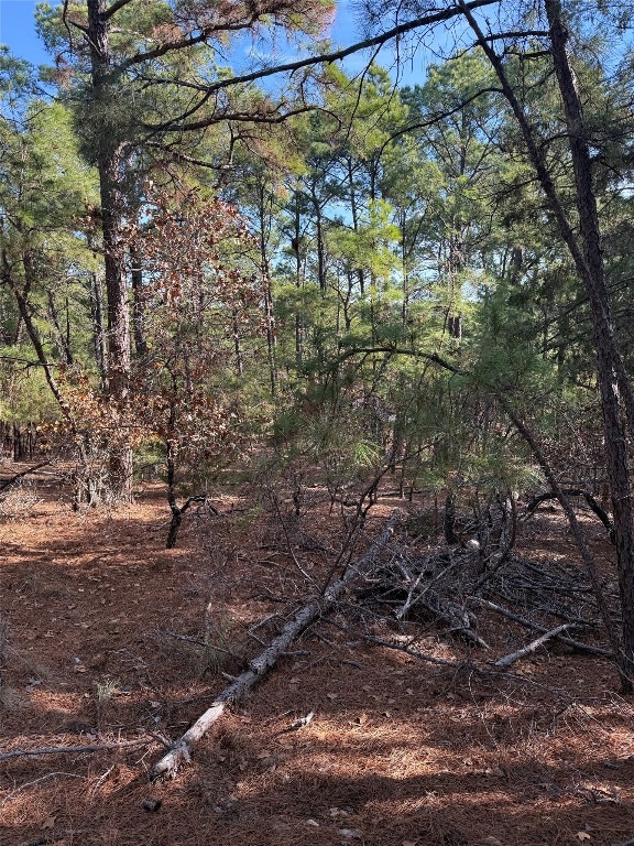 106 Llio Ct, Bastrop, TX 78602