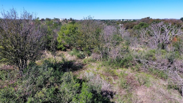 Listing photo 3 for 000 College St, Llano TX 78643