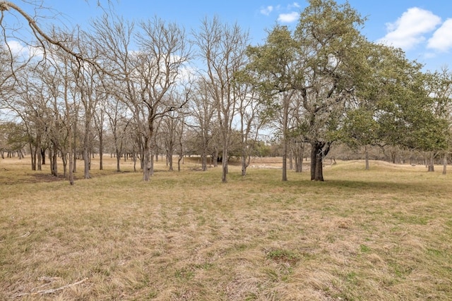 view of yard with a rural view