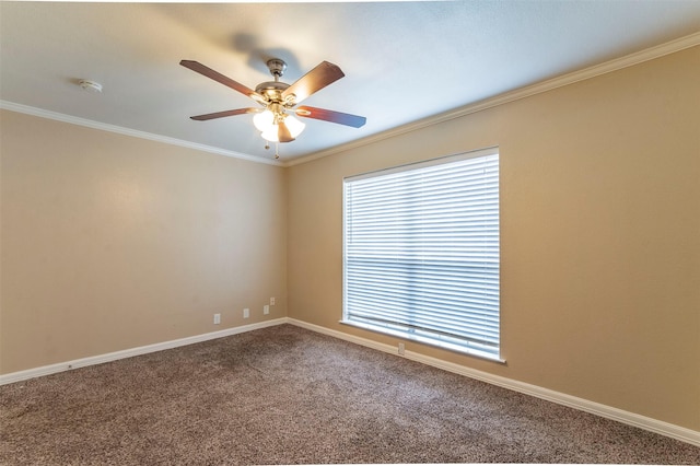 carpeted spare room with ceiling fan and ornamental molding