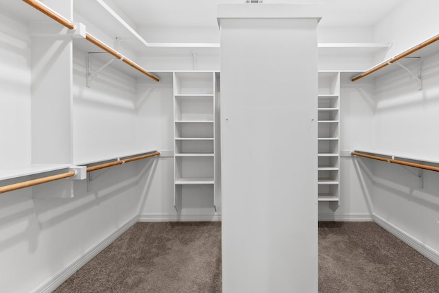 spacious closet with dark carpet