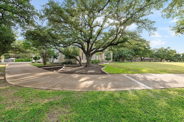 127 Roberts Cir, Georgetown, TX 78633 - view of green lawn
