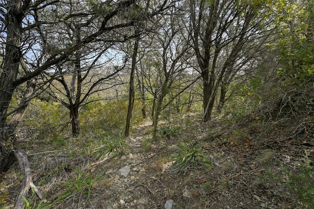 view of local wilderness