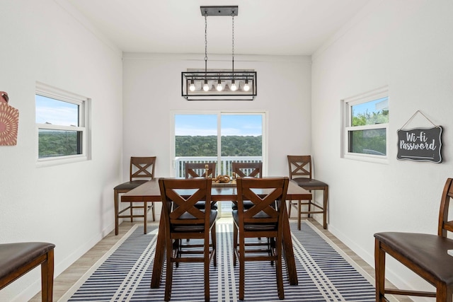 dining area with wood-type flooring and crown molding