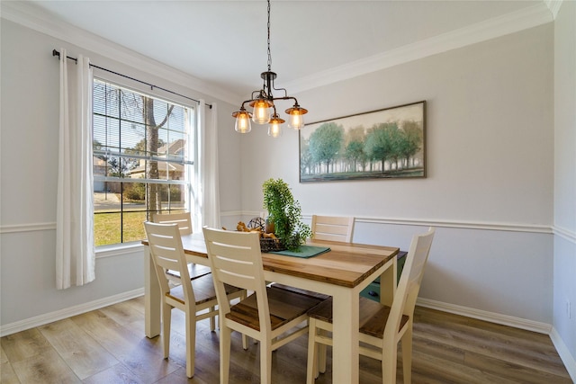 dining space with crown molding, wood finished floors, and a healthy amount of sunlight