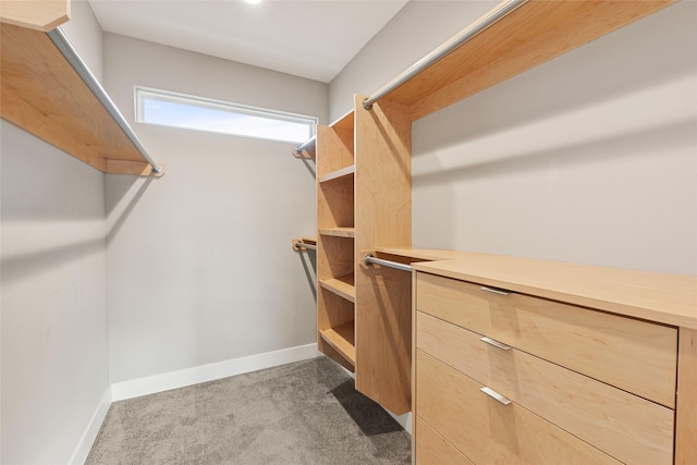 spacious closet featuring dark colored carpet