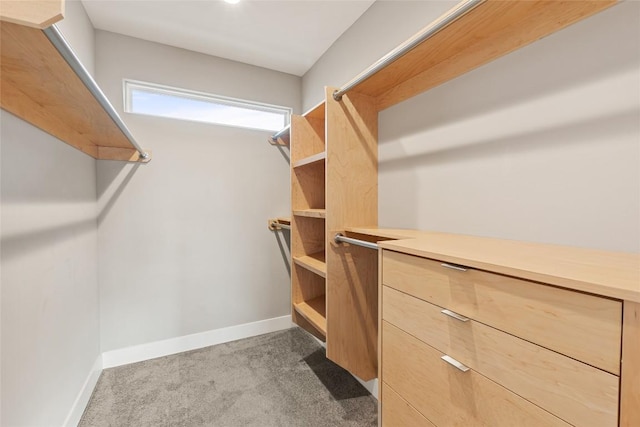 spacious closet featuring carpet floors