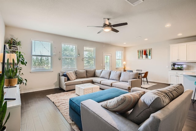 living room featuring ceiling fan, a wealth of natural light, and dark hardwood / wood-style floors