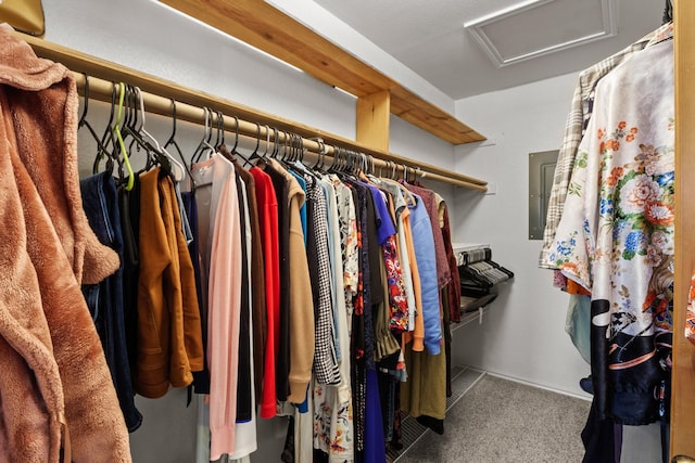 walk in closet with carpet