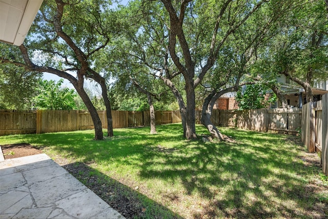 view of yard with a patio area