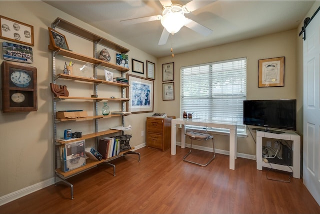 office with ceiling fan, a barn door, and hardwood / wood-style floors