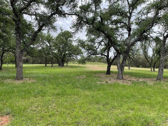 762 Morning Dew Dr, Round Mountain, TX 78663