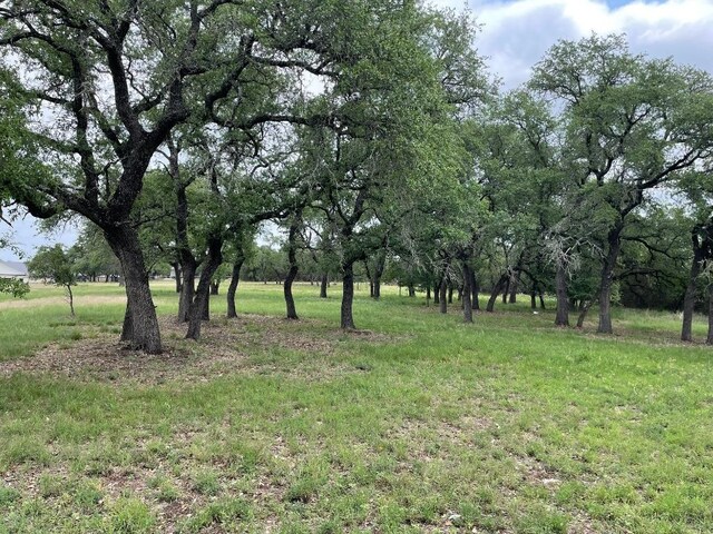 762 Morning Dew Dr, Round Mountain, TX 78663