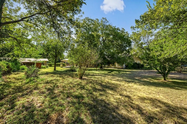 view of yard