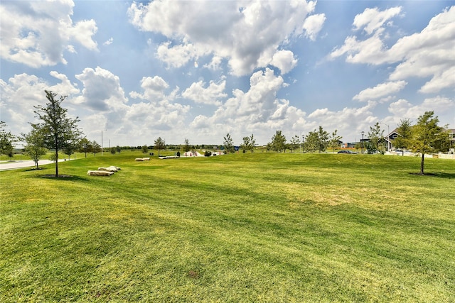 view of community with a yard