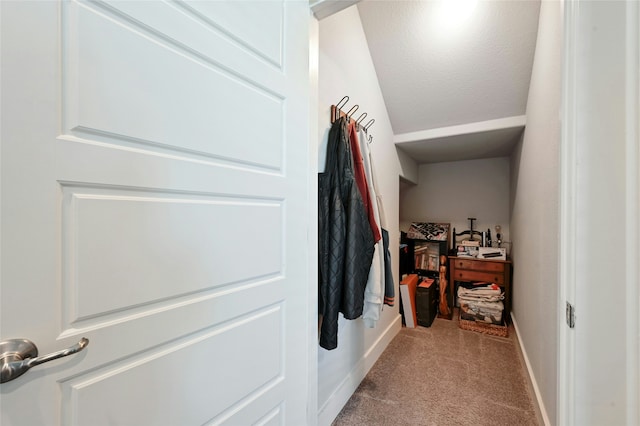 spacious closet with light carpet