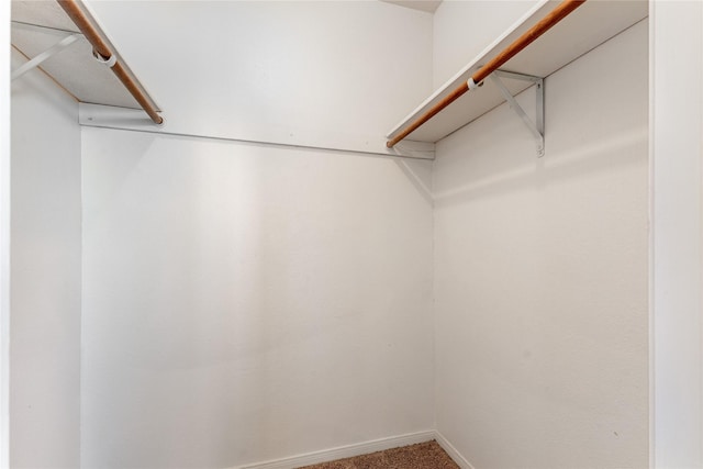 walk in closet featuring carpet floors