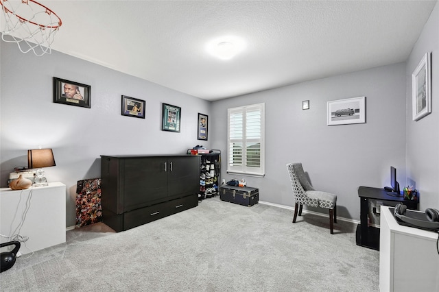 sitting room with light colored carpet and a textured ceiling