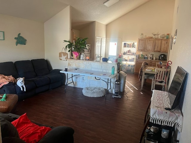 living room with high vaulted ceiling, dark wood-type flooring, and a textured ceiling