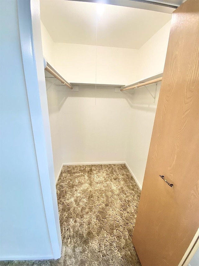 walk in closet featuring carpet