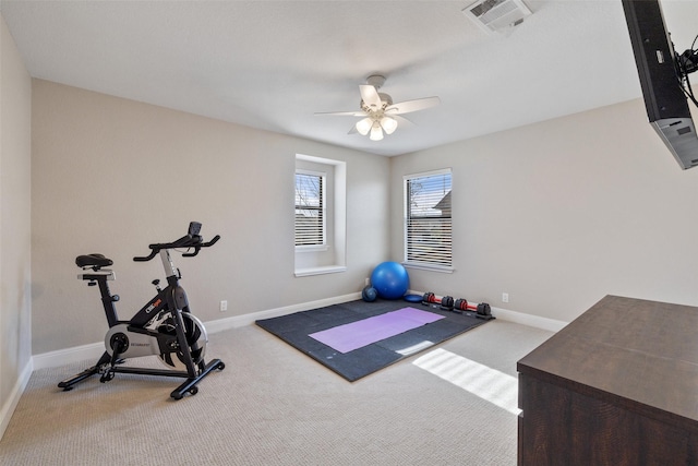 exercise area featuring ceiling fan and carpet