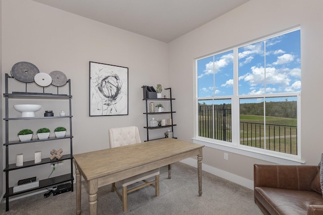 home office featuring carpet flooring