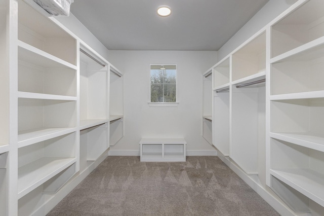 spacious closet with carpet