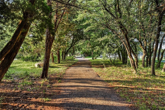 view of property's community