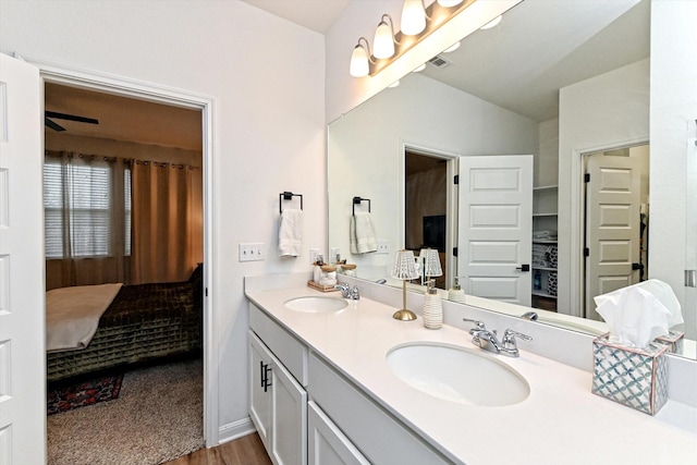 bathroom featuring wood-type flooring and vanity