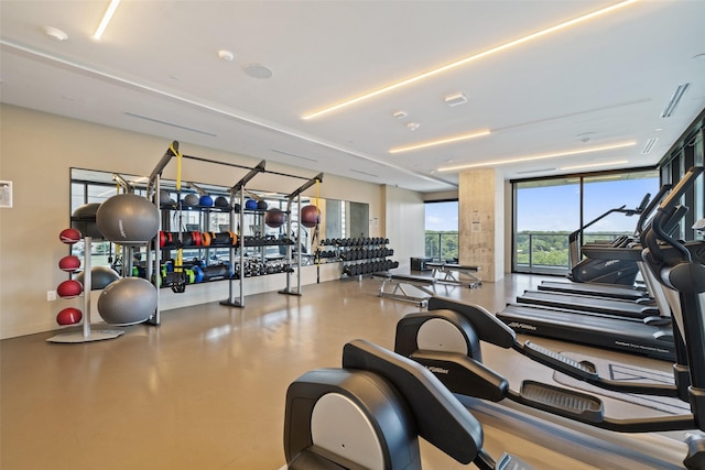 gym with expansive windows